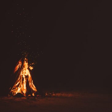 The importance of indigenous wisdom in times of crisis